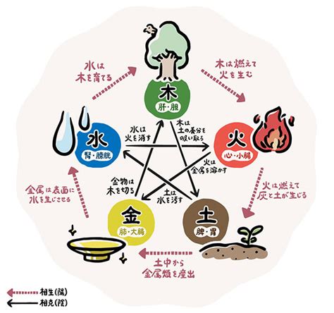 橘色五行|【橘色 五行】橘色：五行屬火還是土？民俗文化研究中心告訴。